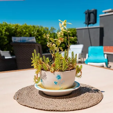 Дом отдыха Beach House Festini Kosljun